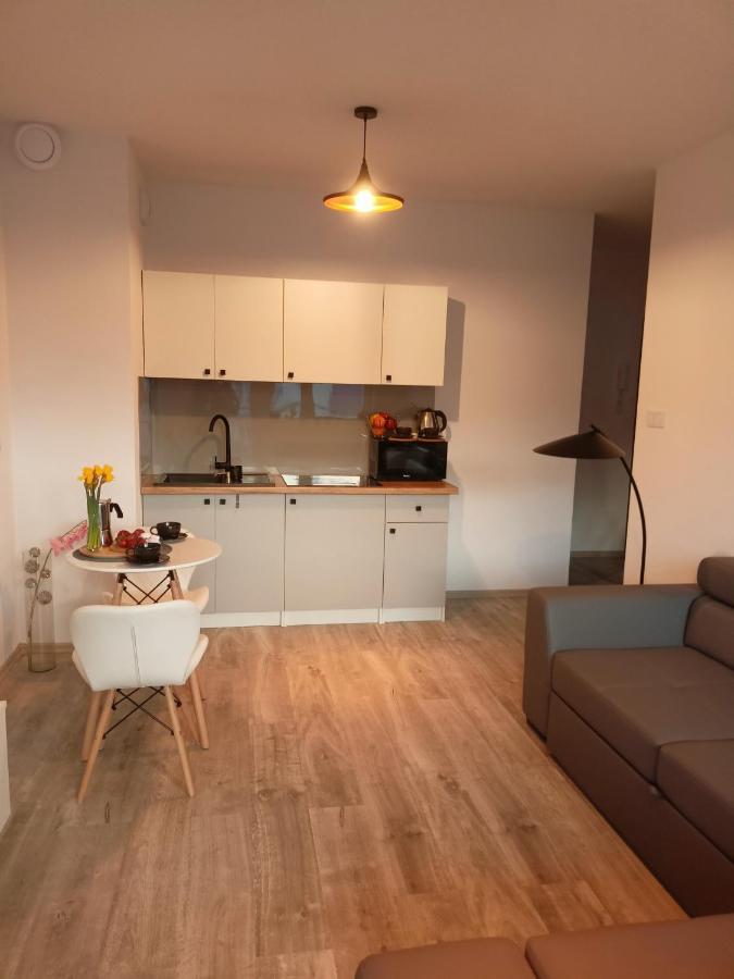 拉多姆Apartament Z Sauna I Jacuzzi公寓 外观 照片